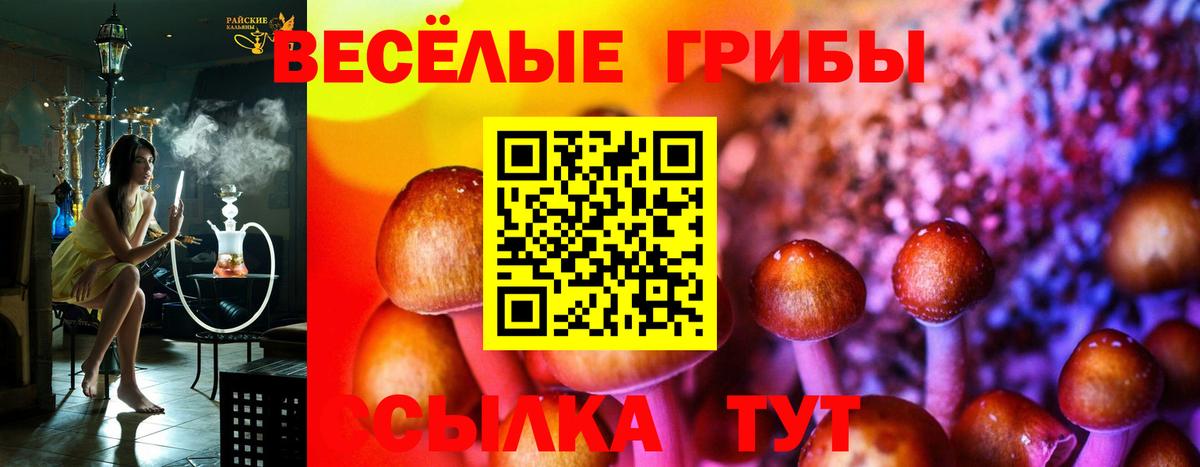 Экстази  Канабис  Вход с VPN  Меф кристаллы  ТГК  Ессентуки  COCAIN  Амфетамин кристаллы 