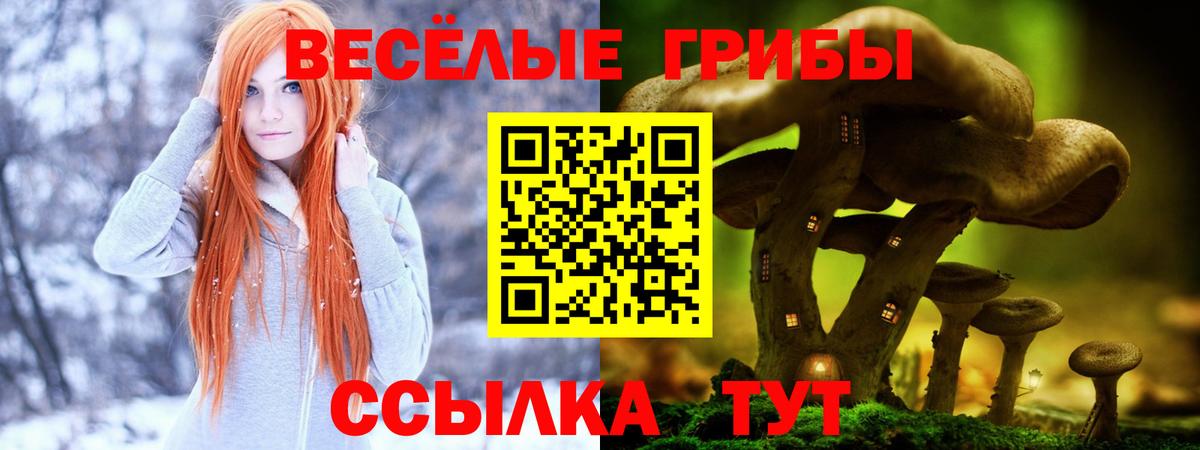 Псилоцибиновые грибы прущие грибы  Вход с VPN  Ессентуки 